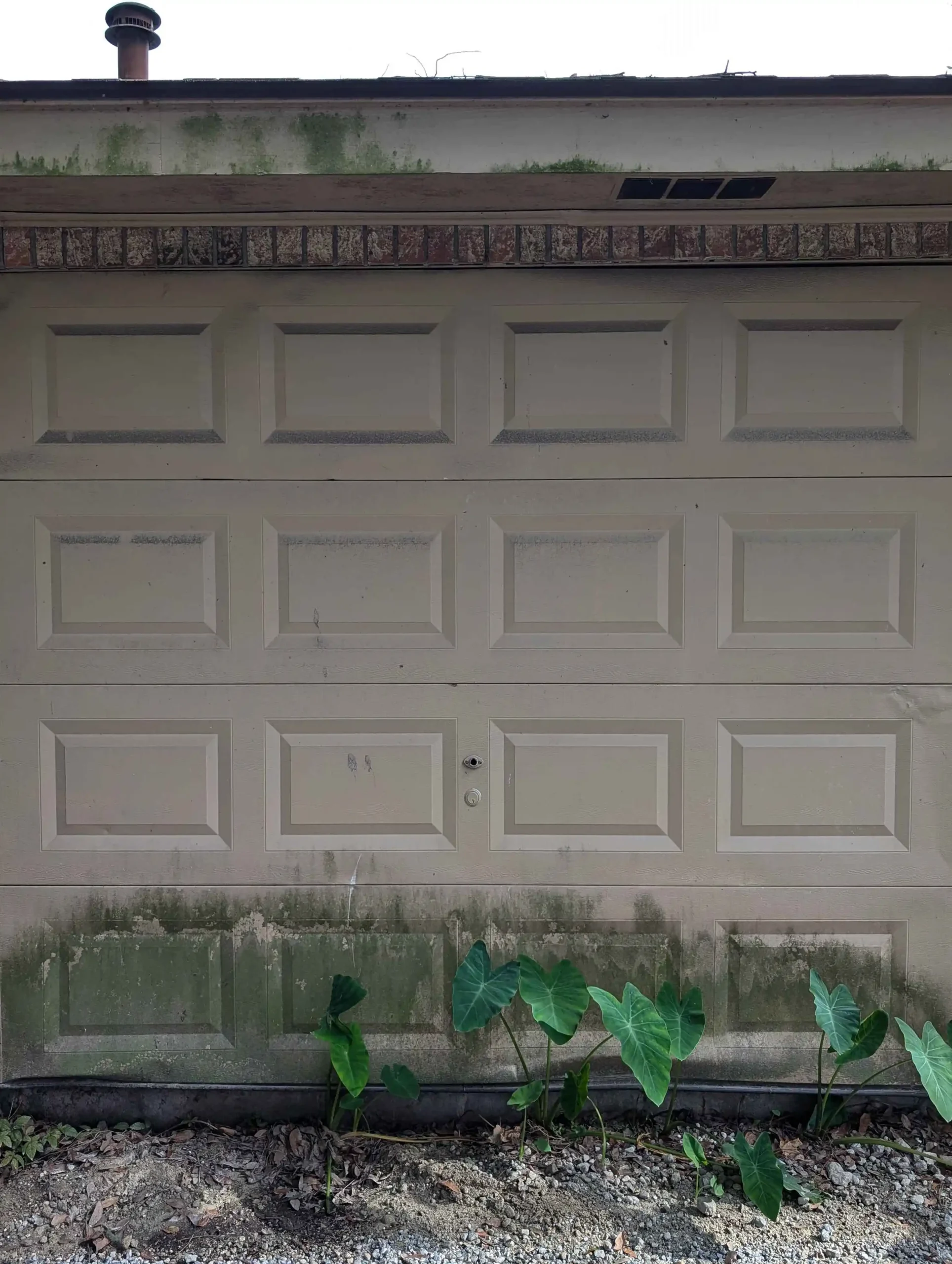 1000003654 (1) (1) 1